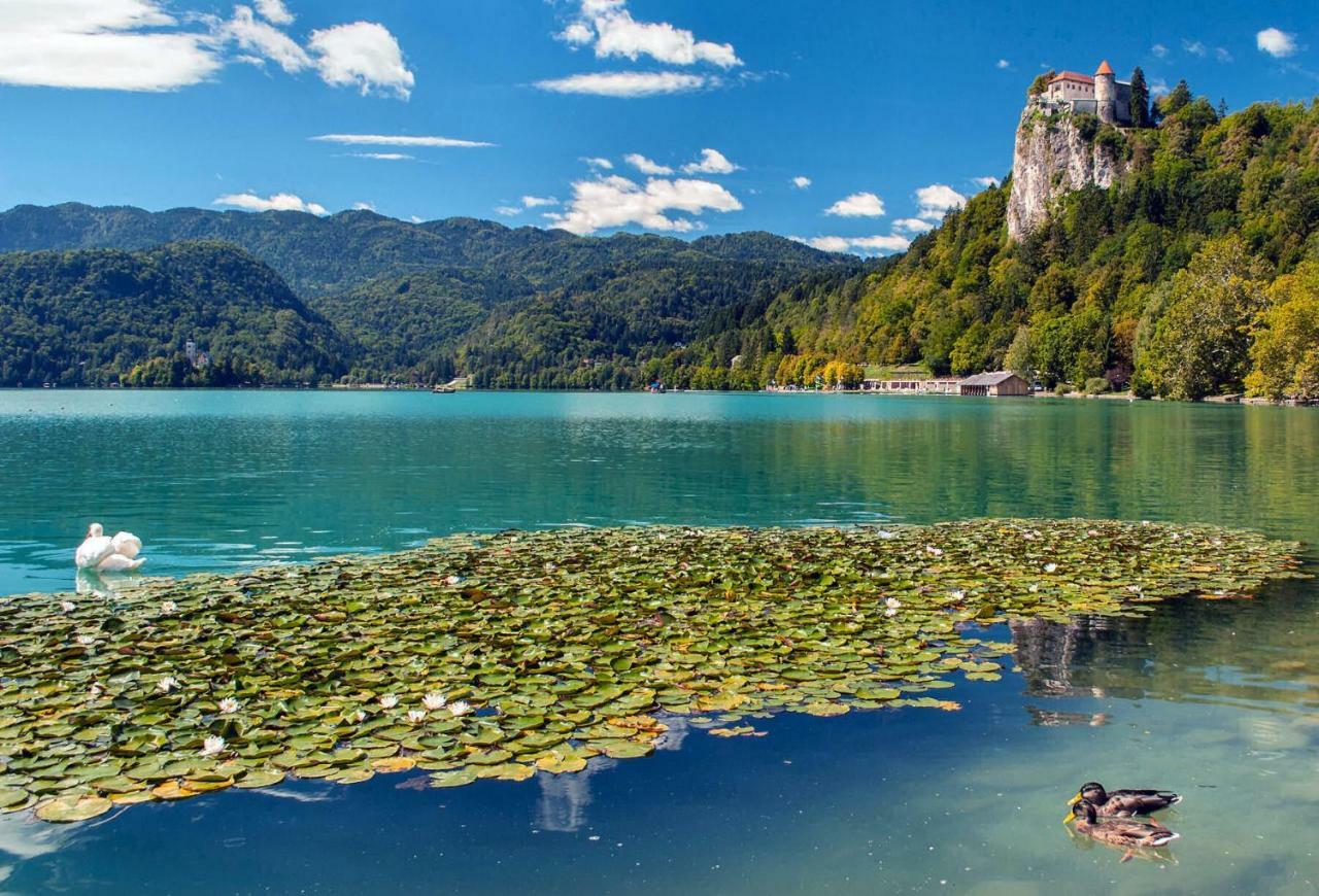 Apartma As Bled Exteriér fotografie