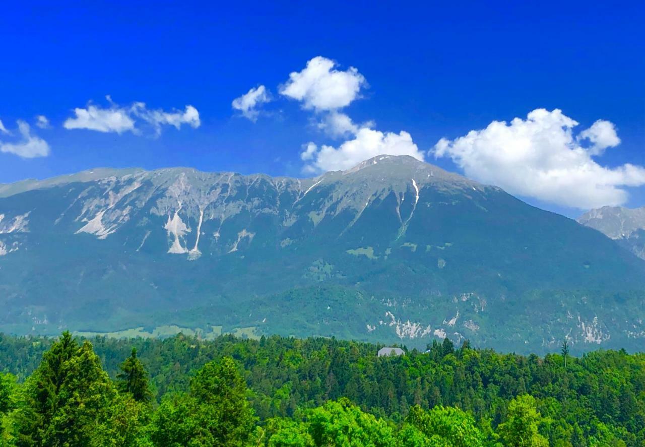 Apartma As Bled Exteriér fotografie